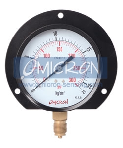 gauges, pressure transducer, gauge pressure